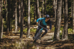 メリダ　ONE-TWENTY