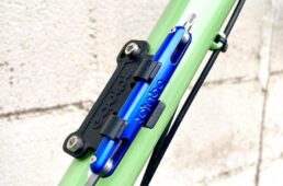 サーディン再入荷