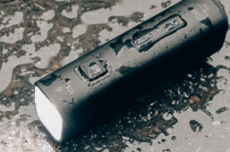 水に濡れたキーウィ