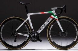 イタリアンチャンピオンカラー