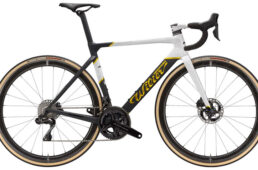 カベンディッシュカラー