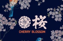 パールイズミ　桜とルリビタキ