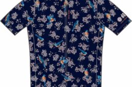 パールイズミ　桜とルリビタキ