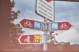 スイスサイクルナイト