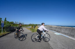 海沿いに延びる専用道区間