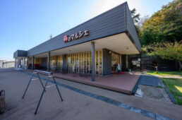 ワンダーファーム