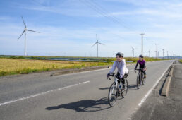 万葉の里風力発電所の巨大風車
