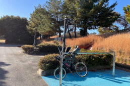 みなと運動公園