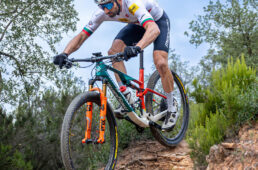 バフ-メガモのライダー