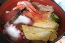 猪野学 ネオ坂バカ奮”登”記 第28回