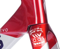 エルヴスの特別デザイン