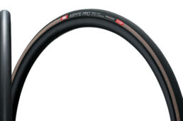 アスピーテプロSライトのタンカラー