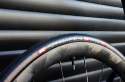 フォーミュラプロHL TLR Sライトのタンカラー