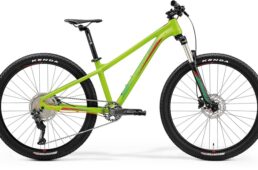 マッツJチャンピオン