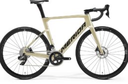 リアクトライバルエディション