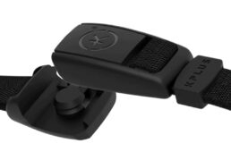 マグネットバックル