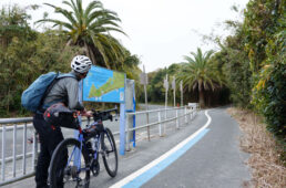 赤羽根港から海岸沿いに自転車専用道が伸びる