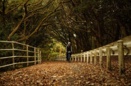 海岸線沿いの自転車専用道