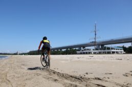 AJOCC JCXシリーズ2023-24最終戦