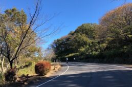 ロード5kmコース