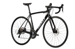 フェニックスSLAディスク