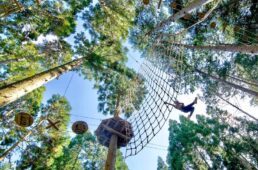 滋賀県　栗東市内の社寺を巡るデジタルスタンプラリー