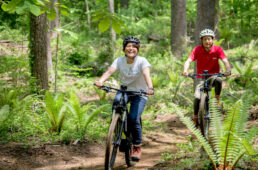 滋賀県　栗東市内の社寺を巡るデジタルスタンプラリー