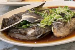 初日の夕飯の煮魚