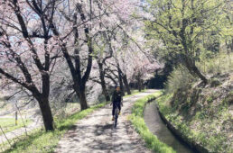飯山線サイクルトレイン