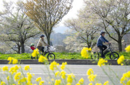 飯山線サイクルトレイン
