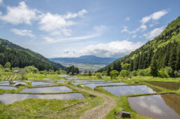 飯山線サイクルトレイン