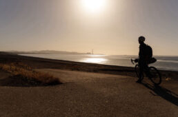 テンチョーを待つシシャチョー