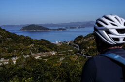 みかん畑と島々、曲がりくねった道