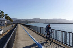 和歌山市に入る