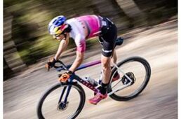 フィジーク　ヴェント・プロキシ