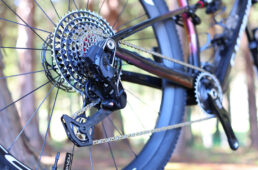 XX SLイーグルのリヤディレーラー