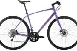 ジャイアント・エスケープ RX