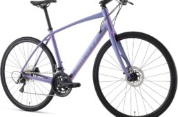 ジャイアント・エスケープ RX