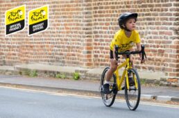 フロッグバイクス