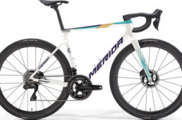 スクルトゥーラチーム