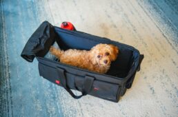 ブロペットキャリーバッグ