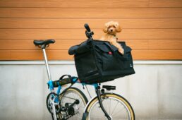 ブロペットキャリーバッグ