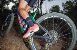 フィジーク　ヴェント・プロキシ