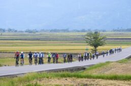 伯朗大道を進む