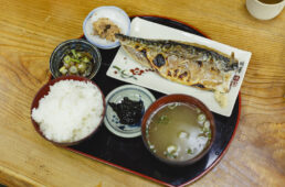 北陸新幹線延伸で福井サイクリング