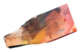 ヘイロバンディットJPエアー