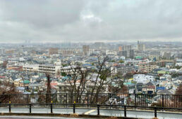 多摩川や都内の住宅地の景観を一望