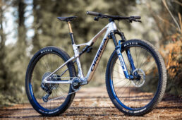 オイズにフライトアテンダント