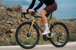 エンヴィ・フレイ