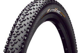 レースキングプロテクション